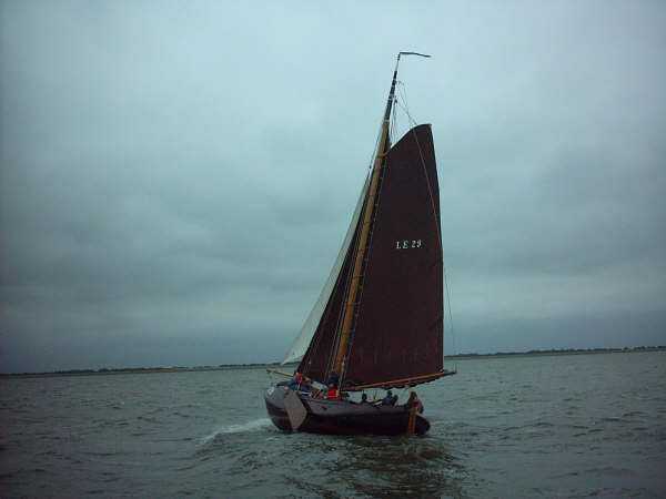 LE29